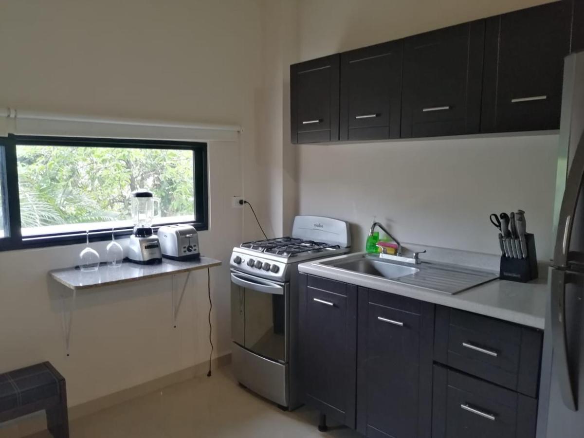 פלאייה דל כרמן Calle 22 By 770 Apartments מראה חיצוני תמונה